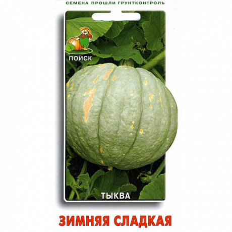 Тыква крупноплодная Зимняя сладкая фото Тыква крупноплодная Зимняя сладкая 